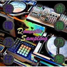 Strange kind of Demo 5 ～奇種乃仔DS（Domestic Sampling）～ のアートワーク