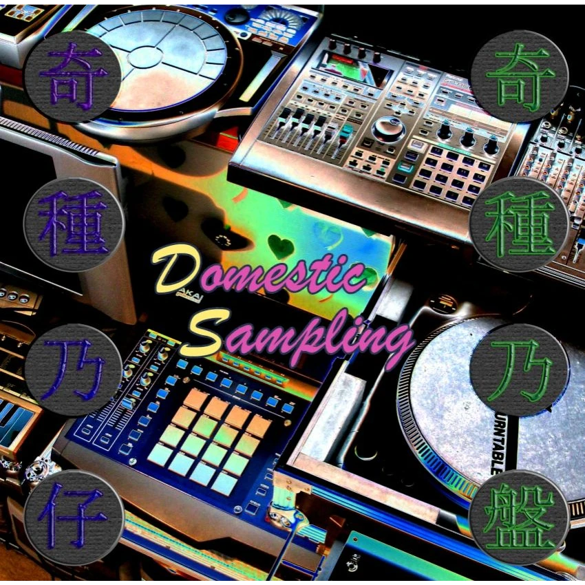 Strange kind of Demo 5 ～奇種乃仔DS（Domestic Sampling）～ のアートワーク